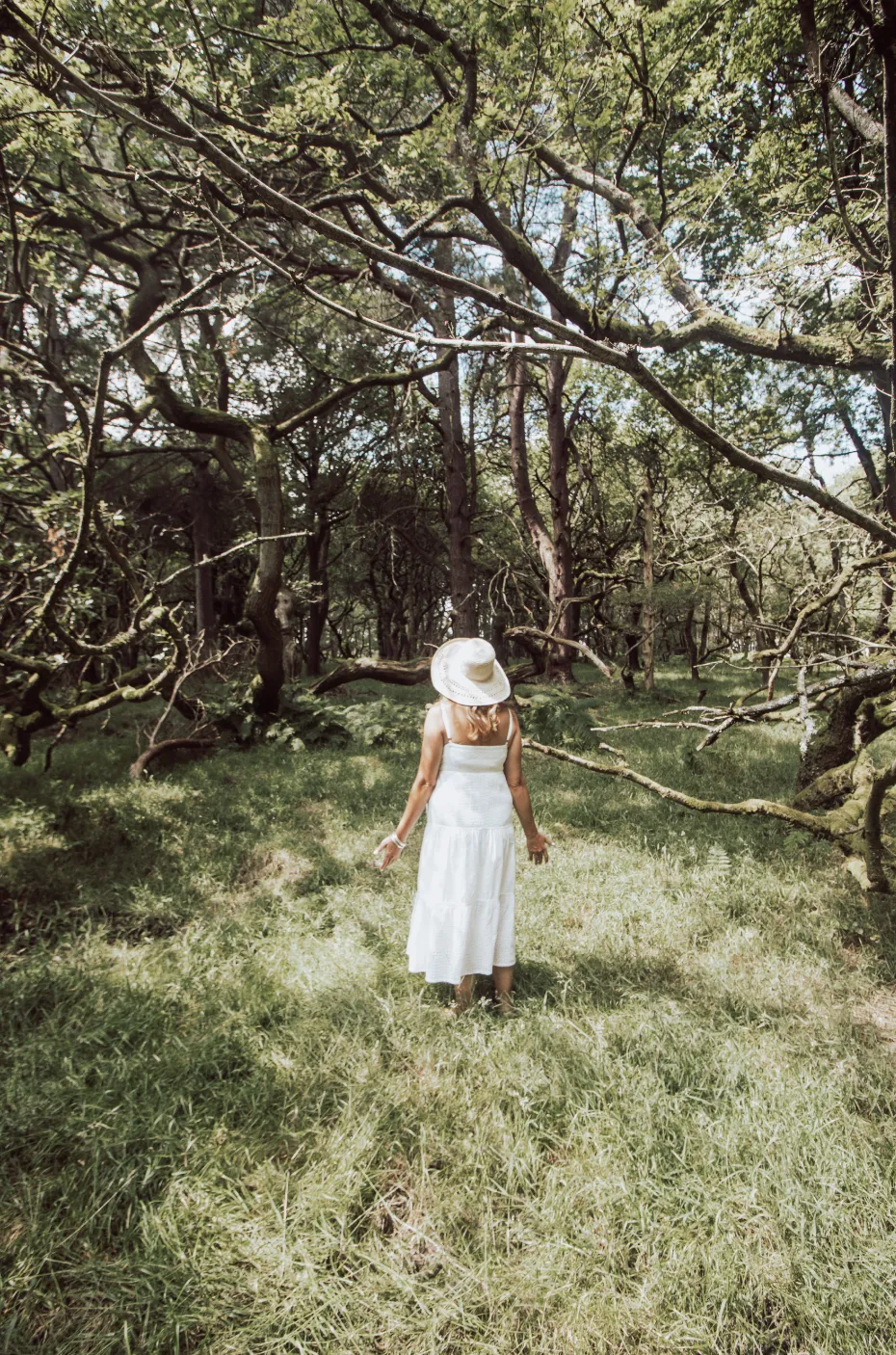 A woman in a white dress and sun hat walking through a forest with green grass and twisting trees.