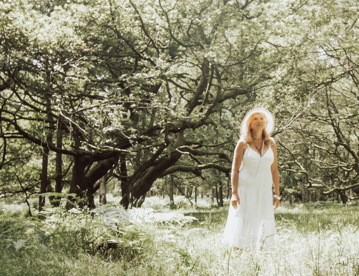 A woman in a white dress and wide-brimmed hat standing in a sunlit forest with large, sprawling trees and green foliage.