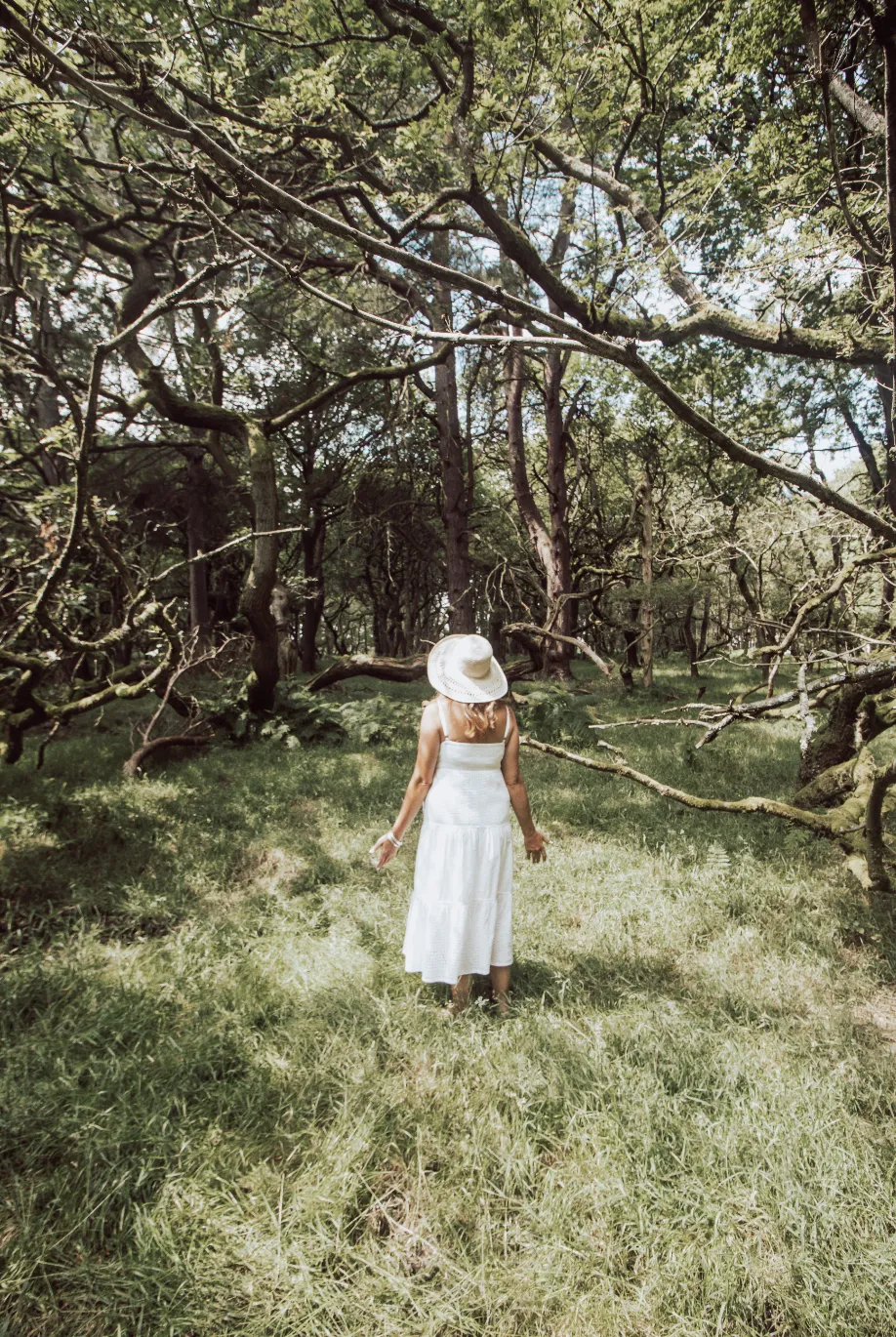 A woman in a white dress and wide-brimmed hat walks through a green forest with twisted trees and sunlight filtering through the leaves.