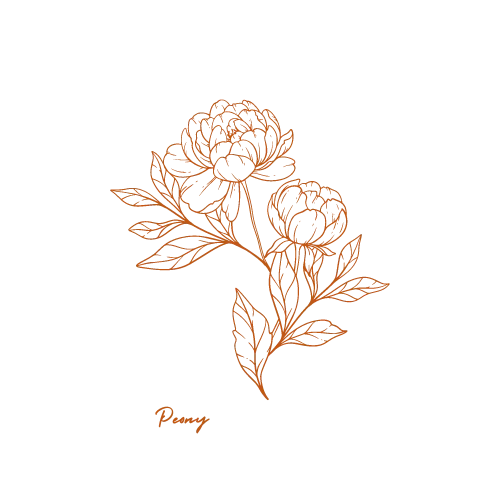 Orange line drawing of two peonies with leaves against a black background, with the word 'Peony' written below.