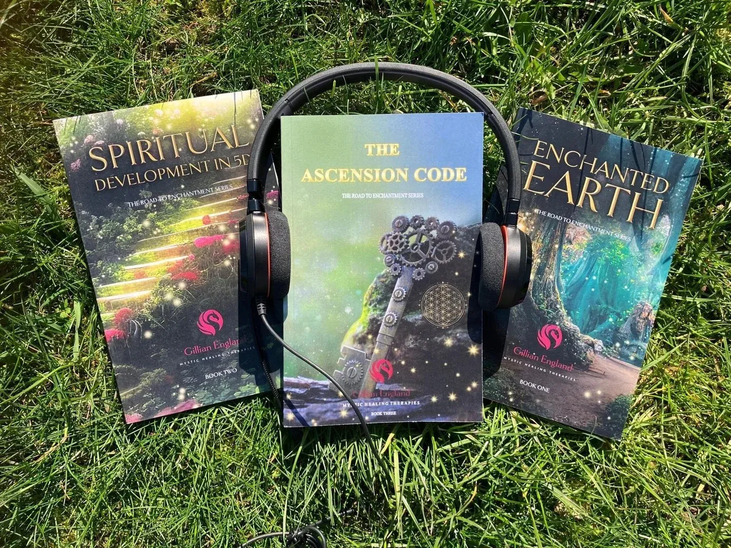 A BUNDLE  from Gillian England (UK only)