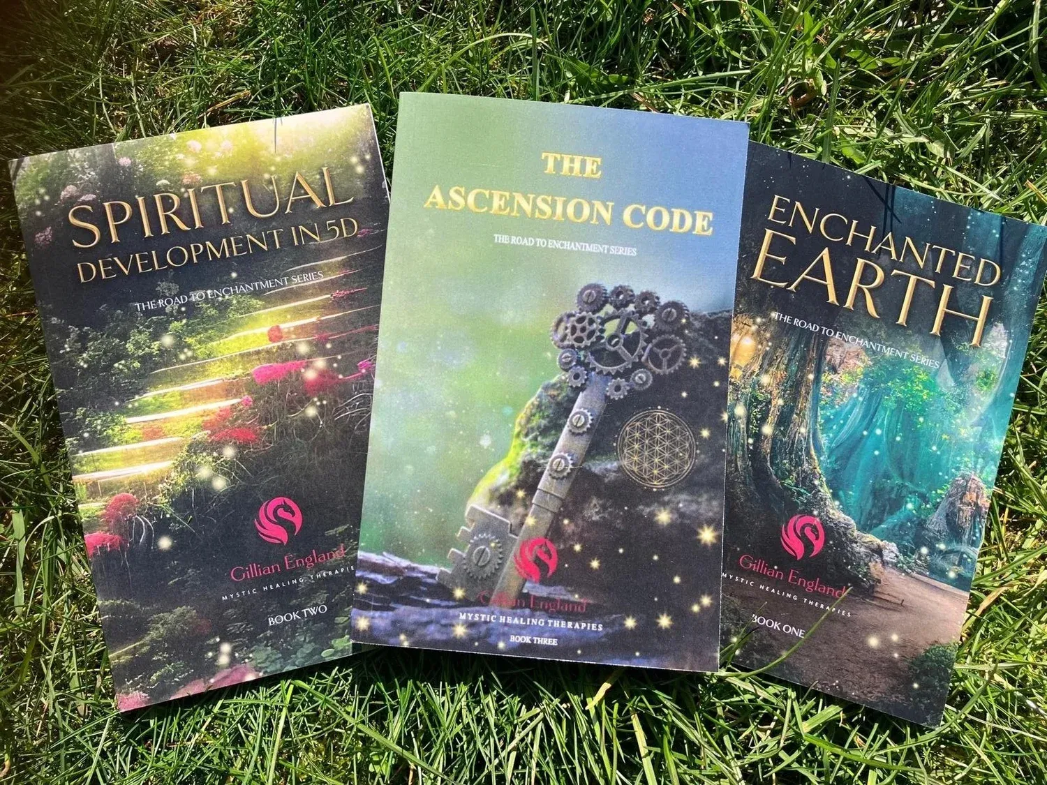 A BUNDLE from Gillian England (UK only)