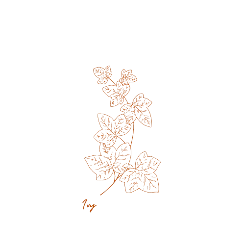 An orange line drawing of a plant with multiple leaves, with the word "Try" written at the bottom on a black background.