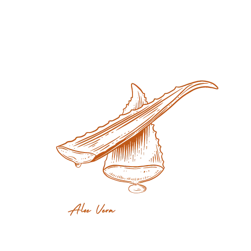 Illustration of a whale tail breaking the water surface, with a landscape featuring trees and a hill in the background, drawn in orange lines on a black background.