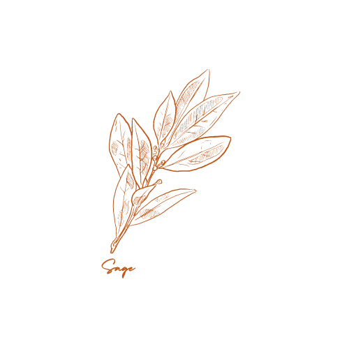 Illustration of orange tea leaves and the word 'Egesa' in cursive at the bottom.